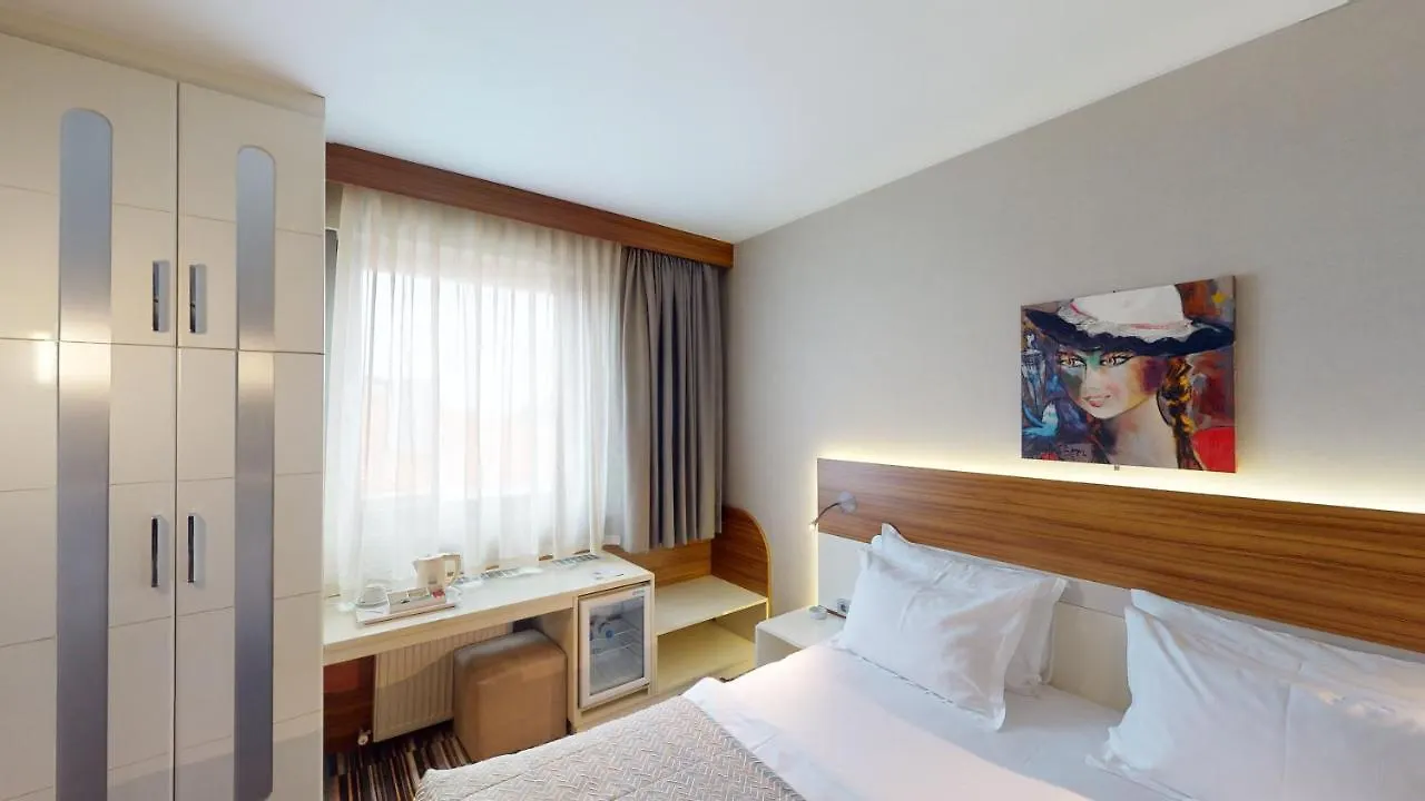 Mimi Hotel 安卡拉 4*,